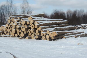 8ccde6533a9e90a33c5c4c67fa307c59